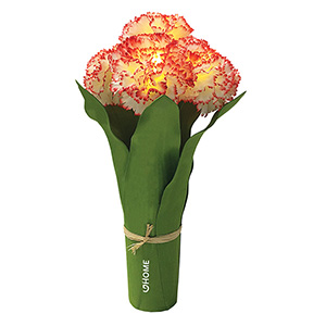 FL9072-C
	-LIGHT UP 5 LED CARNATION BOUQUET
	-Green/White/Red (Clearance Minimum 80 Units)